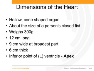 Organ Dimensions Cardiovascular system 2013 | PPTX