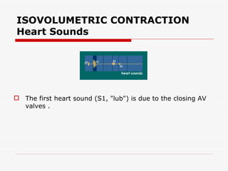 ISOVOLUMETRIC CONTRACTION Heart Sounds The first heart sound (S1, "lub") is due to the closing AV valves .  