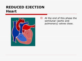 REDUCED EJECTION Heart At the end of this phase the semilunar (aortic and pulmonary) valves close. 