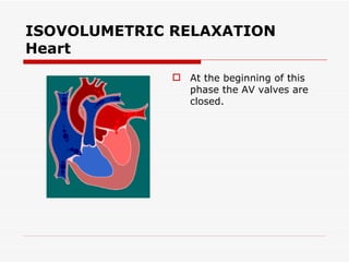 ISOVOLUMETRIC RELAXATION Heart At the beginning of this phase the AV valves are closed.  