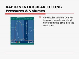 RAPID VENTRICULAR FILLING Pressures & Volumes Ventricular volume (white) increases rapidly as blood flows from the atria into the ventricles. 