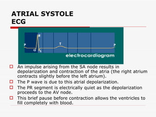 ATRIAL SYSTOLE ECG An impulse arising from the SA node results in depolarization and contraction of the atria (the right atrium contracts slightly before the left atrium).  The P wave is due to this atrial depolarization. The PR segment is electrically quiet as the depolarization proceeds to the AV node.  This brief pause before contraction allows the ventricles to fill completely with blood.  