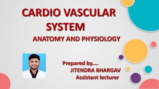 CARDIO VASCULAR
SYSTEM
ANATOMY AND PHYSIOLOGY
Prepared by....
JITENDRA BHARGAV
Assistant lecturer
 