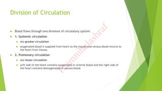 Cardiovascular System Anatomy and Physiology RO Batch.pdf