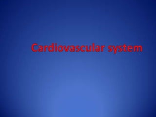 Cardiovascular system  