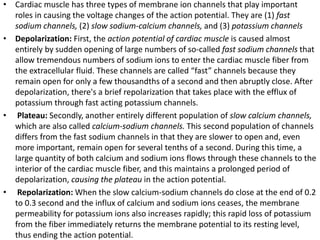• Cardiac muscle has three types of membrane ion channels that play important
roles in causing the voltage changes of the action potential. They are (1) fast
sodium channels, (2) slow sodium-calcium channels, and (3) potassium channels
• Depolarization: First, the action potential of cardiac muscle is caused almost
entirely by sudden opening of large numbers of so-called fast sodium channels that
allow tremendous numbers of sodium ions to enter the cardiac muscle fiber from
the extracellular fluid. These channels are called “fast” channels because they
remain open for only a few thousandths of a second and then abruptly close. After
depolarization, there's a brief repolarization that takes place with the efflux of
potassium through fast acting potassium channels.
• Plateau: Secondly, another entirely different population of slow calcium channels,
which are also called calcium-sodium channels. This second population of channels
differs from the fast sodium channels in that they are slower to open and, even
more important, remain open for several tenths of a second. During this time, a
large quantity of both calcium and sodium ions flows through these channels to the
interior of the cardiac muscle fiber, and this maintains a prolonged period of
depolarization, causing the plateau in the action potential.
• Repolarization: When the slow calcium-sodium channels do close at the end of 0.2
to 0.3 second and the influx of calcium and sodium ions ceases, the membrane
permeability for potassium ions also increases rapidly; this rapid loss of potassium
from the fiber immediately returns the membrane potential to its resting level,
thus ending the action potential.
 
