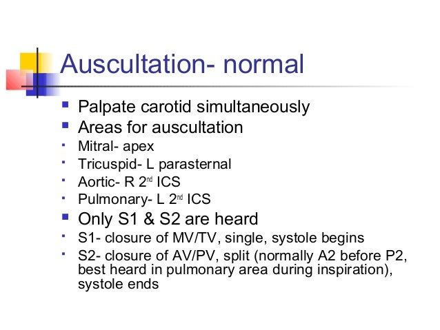 Palpable P2 Is S2 Louder Than P2? : Heart Sounds Topic Review – JRAU