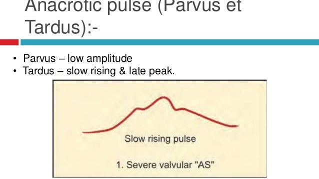 Cardiovascular system examination