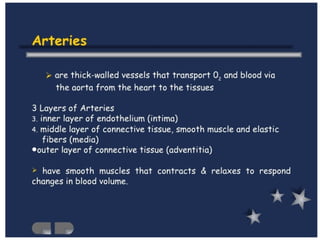 Cardiovascular System Lecture 1 (1).pptx