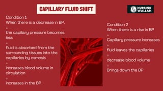 Cardiovascular System (MSN) bsc nursing 1st year | PDF