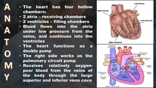 CARDIOVASCULAR SYSTEM new [Autosaved].pptx