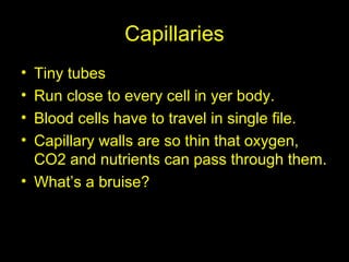 Capillaries
• Tiny tubes
• Run close to every cell in yer body.
• Blood cells have to travel in single file.
• Capillary walls are so thin that oxygen,
CO2 and nutrients can pass through them.
• What’s a bruise?
 