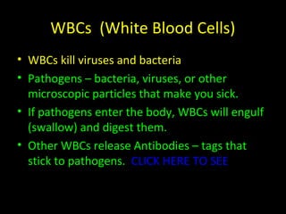 WBCs (White Blood Cells)
• WBCs kill viruses and bacteria
• Pathogens – bacteria, viruses, or other
microscopic particles that make you sick.
• If pathogens enter the body, WBCs will engulf
(swallow) and digest them.
• Other WBCs release Antibodies – tags that
stick to pathogens. CLICK HERE TO SEE
 