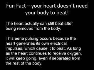 Fun Fact – your heart doesn’t need
your body to beat!
The heart actually can still beat after
being removed from the body.
This eerie pulsing occurs because the
heart generates its own electrical
impulses, which cause it to beat. As long
as the heart continues to receive oxygen,
it will keep going, even if separated from
the rest of the body.
 