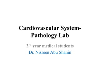 Cardiovascular System-
Pathology Lab
3rd year medical students
Dr. Nisreen Abu Shahin
 