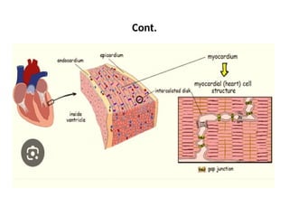 Comprehensive Physiology of the Cardiovascular System and Cardiac ...