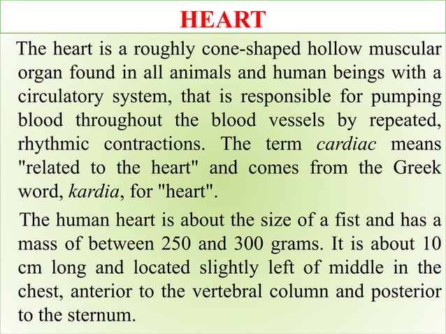 Cardiovascular system ppt | PPTX