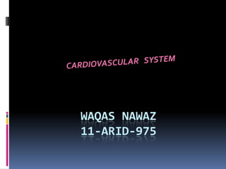 WAQAS NAWAZ
11-ARID-975
 