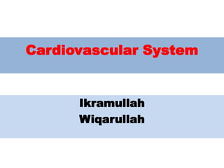 Cardiovascular System
Ikramullah
Wiqarullah
 