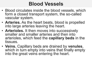 Blood Vessels
• Blood circulates inside the blood vessels, which
form a closed transport system, the so-called
vascular system.
• Arteries. As the heart beats, blood is propelled
into large arteries leaving the heart.
• Arterioles. It then moves into successively
smaller and smaller arteries and then into
arterioles, which feed the capillary beds in the
tissues.
• Veins. Capillary beds are drained by venules,
which in turn empty into veins that finally empty
into the great veins entering the heart.
 