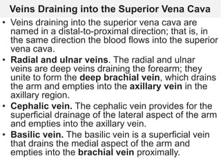 Veins Draining into the Superior Vena Cava
• Veins draining into the superior vena cava are
named in a distal-to-proximal direction; that is, in
the same direction the blood flows into the superior
vena cava.
• Radial and ulnar veins. The radial and ulnar
veins are deep veins draining the forearm; they
unite to form the deep brachial vein, which drains
the arm and empties into the axillary vein in the
axillary region.
• Cephalic vein. The cephalic vein provides for the
superficial drainage of the lateral aspect of the arm
and empties into the axillary vein.
• Basilic vein. The basilic vein is a superficial vein
that drains the medial aspect of the arm and
empties into the brachial vein proximally.
 