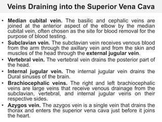 Veins Draining into the Superior Vena Cava
• Median cubital vein. The basilic and cephalic veins are
joined at the anterior aspect of the elbow by the median
cubital vein, often chosen as the site for blood removal for the
purpose of blood testing.
• Subclavian vein. The subclavian vein receives venous blood
from the arm through the axillary vein and from the skin and
muscles of the head through the external jugular vein.
• Vertebral vein. The vertebral vein drains the posterior part of
the head.
• Internal jugular vein. The internal jugular vein drains the
Dural sinuses of the brain.
• Brachiocephalic veins. The right and left brachiocephalic
veins are large veins that receive venous drainage from the
subclavian, vertebral, and internal jugular veins on their
respective sides.
• Azygos vein. The azygos vein is a single vein that drains the
thorax and enters the superior vena cava just before it joins
the heart.
 