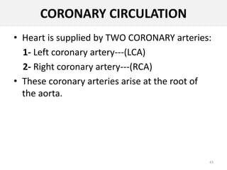 CORONARY CIRCULATION
• Heart is supplied by TWO CORONARY arteries:
1- Left coronary artery---(LCA)
2- Right coronary artery---(RCA)
• These coronary arteries arise at the root of
the aorta.
43
 
