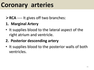 Coronary arteries
RCA ---- It gives off two branches:
1. Marginal Artery
• It supplies blood to the lateral aspect of the
right atrium and ventricle.
2. Posterior descending artery
• It supplies blood to the posterior walls of both
ventricles.
45
 