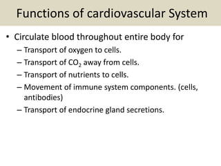 Functions of cardiovascular System
• Circulate blood throughout entire body for
– Transport of oxygen to cells.
– Transport of CO2 away from cells.
– Transport of nutrients to cells.
– Movement of immune system components. (cells,
antibodies)
– Transport of endocrine gland secretions.
 