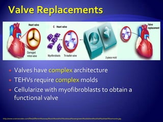     Valves have complex architecture
          TEHVs require complex molds
          Cellularize with myofibroblasts to obtain a
           functional valve

http://www.sciencecodex.com/files/different%20ways%20in%20which%20tissue%20engineers%20believe%20that%20heart%20muscle.jpg
 