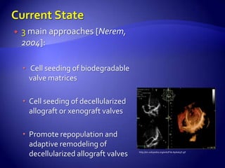    3 main approaches [Nerem,
    2004]:

     Cell seeding of biodegradable
      valve matrices

     Cell seeding of decellularized
      allograft or xenograft valves

     Promote repopulation and
      adaptive remodeling of
      decellularized allograft valves   http://en.wikipedia.org/wiki/File:Apikal4D.gif
 