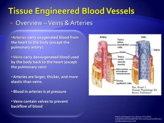    Overview – Veins & Arteries

•Arteries carry oxygenated blood from
the heart to the body (except the
pulmonary artery).

• Veins carry deoxygenated blood used
by the body back to the heart (except
the pulmonary vein)

• Arteries are larger, thicker, and more
elastic than veins.

• Blood in arteries is at pressure

• Veins contain valves to prevent
backflow of blood

                                           http://1.bp.blogspot.com/_Obwvpc-KSC4/S8Ud-
                                           y0xQyI/AAAAAAAAAa8/QTBY1SKf_Z0/s1600/arterial%20stru
                                           cture%20vs%20venous.JPG
 
