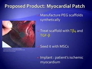    Manufacture PEG scaffolds
                                                       synthetically

                                                      Treat scaffold with Tβ4 and
                                                       TGF-β


http://technewslit.com/sciencebusiness/wp-
                                                      Seed it with MSCs
content/uploads/2011/05/HeartNanoscaffold_Frank-
Mullin_Brown-University.jpg




                                                      Implant : patient’s ischemic
                                                       myocardium
 