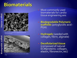    Most commonly used
                                                                                                   biomaterials for cardio
Polymer scaffold




                                                                                                   tissue engineering are:

                                                                                                  Biodegradable Polymeric
                                                                                                   scaffolds (polyglycolic acid -
                                                                                                   PGA)
                        http://union.igic.bas.bg/content_images/fe47f119130b1ae60
                        0f5ad23b26813eb.jpg
                                                                                                  Hydrogels (seeded with
                                                                                                   collagen, fibrin, alginate)
Biodegradale scaffold




                                                                                                  Decellularized tissue
                                                                                                   (composed of natural
                                                                                                   ECMproteins: collagen,
                                                                                                   elastin, fibronectin, etc)
                        http://www.ibi-sa.com/site/images/stories/prodotti22/cells-scaffold-
                        2d.jpg
 