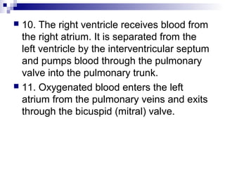  10. The right ventricle receives blood from
the right atrium. It is separated from the
left ventricle by the interventricular septum
and pumps blood through the pulmonary
valve into the pulmonary trunk.
 11. Oxygenated blood enters the left
atrium from the pulmonary veins and exits
through the bicuspid (mitral) valve.
 