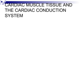 CARDIAC MUSCLE TISSUE AND
THE CARDIAC CONDUCTION
SYSTEM
 