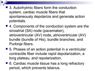  3. Autorhytmic fibers form the conduction
system, cardiac muscle fibers that
spontaneously depolarize and generate action
potentials.
 4. Components of the conduction system are the
sinoatrial (SA) node (pacemaker),
atrioventricular (AV) node, atrioventricular (AV)
bundle (bundle of His), bundle branches, and
Purkinje fibers.
 5. Phases of an action potential in a ventricular
contractile fiber include rapid depolarization, a
long plateau, and repolarization.
 6. Cardiac muscle tissue has a long refractory
period, which prevents tetanus.
 