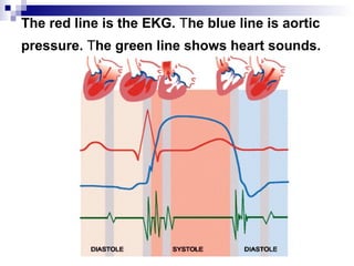 The red line is the EKG. The blue line is aortic
pressure. The green line shows heart sounds.
 
