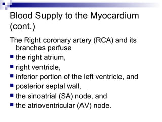 Blood Supply to the Myocardium
(cont.)
The Right coronary artery (RCA) and its
branches perfuse
 the right atrium,
 right ventricle,
 inferior portion of the left ventricle, and
 posterior septal wall,
 the sinoatrial (SA) node, and
 the atrioventricular (AV) node.
 