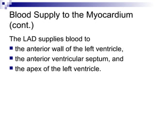 Blood Supply to the Myocardium
(cont.)
The LAD supplies blood to
 the anterior wall of the left ventricle,
 the anterior ventricular septum, and
 the apex of the left ventricle.
 