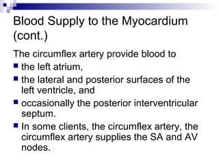 Blood Supply to the Myocardium
(cont.)
The circumflex artery provide blood to
 the left atrium,
 the lateral and posterior surfaces of the
left ventricle, and
 occasionally the posterior interventricular
septum.
 In some clients, the circumflex artery, the
circumflex artery supplies the SA and AV
nodes.
 