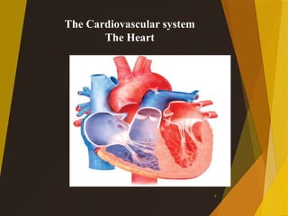 Comprehensive Overview of the Human Heart and Cardiovascular System ...