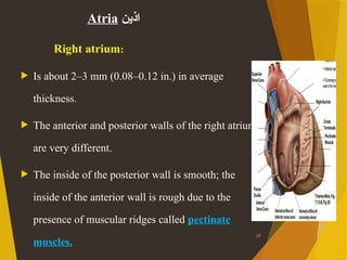 Normal Atrium Area Size Comprehensive Overview of the Human Heart and Cardiovascular System ...