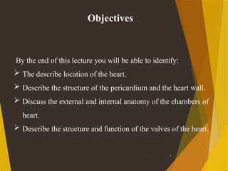 Comprehensive Overview of the Human Heart and Cardiovascular System ...