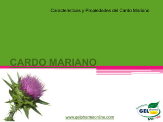 Características y Propiedades del Cardo Mariano




CARDO MARIANO




             www.gelpharmaonline.com
 