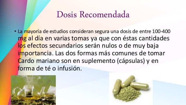 Como tomar cardo mariano en semillas Como tomar cardo mariano en semillas