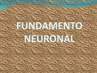 FUNDAMENTO
 NEURONAL
 