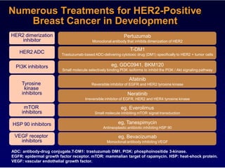 Numerous Treatments for HER2-Positive
   Breast Cancer in Development
HER2 dimerization                                             Pertuzumab
    inhibitor                             Monoclonal antibody that inhibits dimerization of HER2

                                                                 T-DM1
   HER2 ADC             Trastuzumab-based ADC-delivering cytotoxic drug (DM1) specifically to HER2 + tumor cells


  PI3K inhibitors                                     eg, GDC0941, BKM120
                        Small molecule selectively binding PI3K isoforms to inhibit the PI3K / Akt signaling pathway

                                                                 Afatinib
     Tyrosine                            Reversible inhibitor of EGFR and HER2 tyrosine kinase
      kinase
     inhibitors                                                 Neratinib
                                      Irreversible inhibitor of EGFR, HER2 and HER4 tyrosine kinase

      mTOR                                                  eg, Everolimus
     inhibitors                            Small molecule inhibiting mTOR signal transduction


HSP 90 inhibitors                                         eg, Tanespimycin
                                                 Antineoplastic antibiotic inhibiting HSP 90

 VEGF receptor                                            eg, Bevacizumab
   inhibitors                                      Monoclonal antibody inhibiting VEGF

ADC: antibody-drug conjugate.T-DM1: trastuzumab DM1. PI3K: phosphoinositide 3-kinase.
EGFR: epidermal growth factor receptor. mTOR: mammalian target of rapamycin. HSP: heat-shock protein.
VEGF: vascular endothelial growth factor.
 