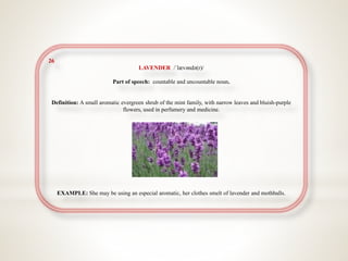 26
LAVENDER /ˈlævəndə(r)/
Part of speech: countable and uncountable noun.
Definition: A small aromatic evergreen shrub of the mint family, with narrow leaves and bluish-purple
flowers, used in perfumery and medicine.
EXAMPLE: She may be using an especial aromatic, her clothes smelt of lavender and mothballs.
 