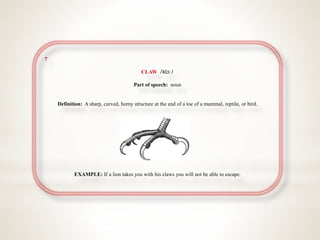 7
CLAW /klɔː/
Part of speech: noun
Definition: A sharp, curved, horny structure at the end of a toe of a mammal, reptile, or bird.
EXAMPLE: If a lion takes you with his claws you will not be able to escape.
 